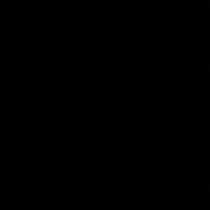 Meet your Posher, Hunter